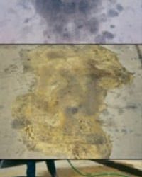 CONCLEAN PLUS CCC070